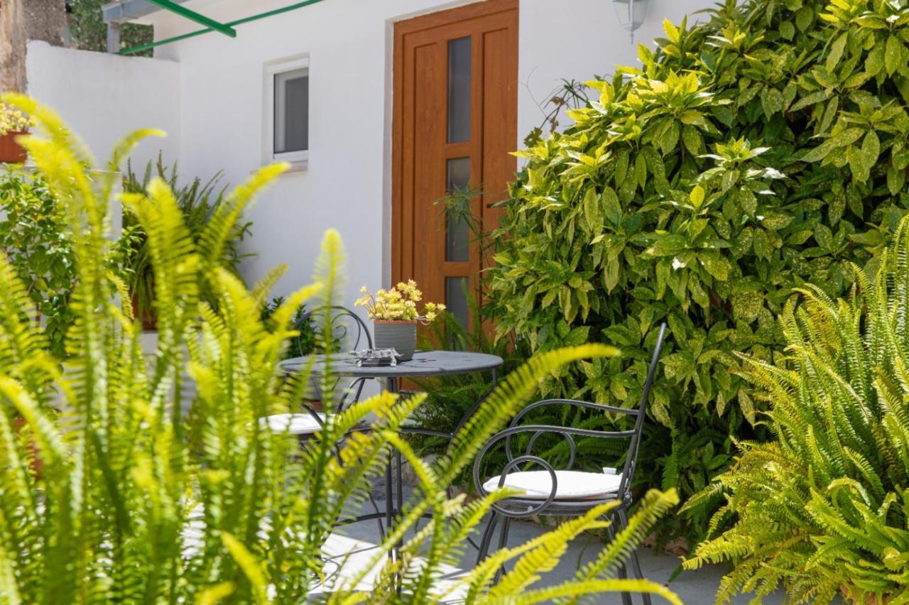 Apartments Jelena Supetar - Four Apartments - A Small House With A Private Yard - Two-Room Apartment With A Sea View - Studio Apartment - Two-Room Apartment With Garden View- Free Parking Exteriör bild