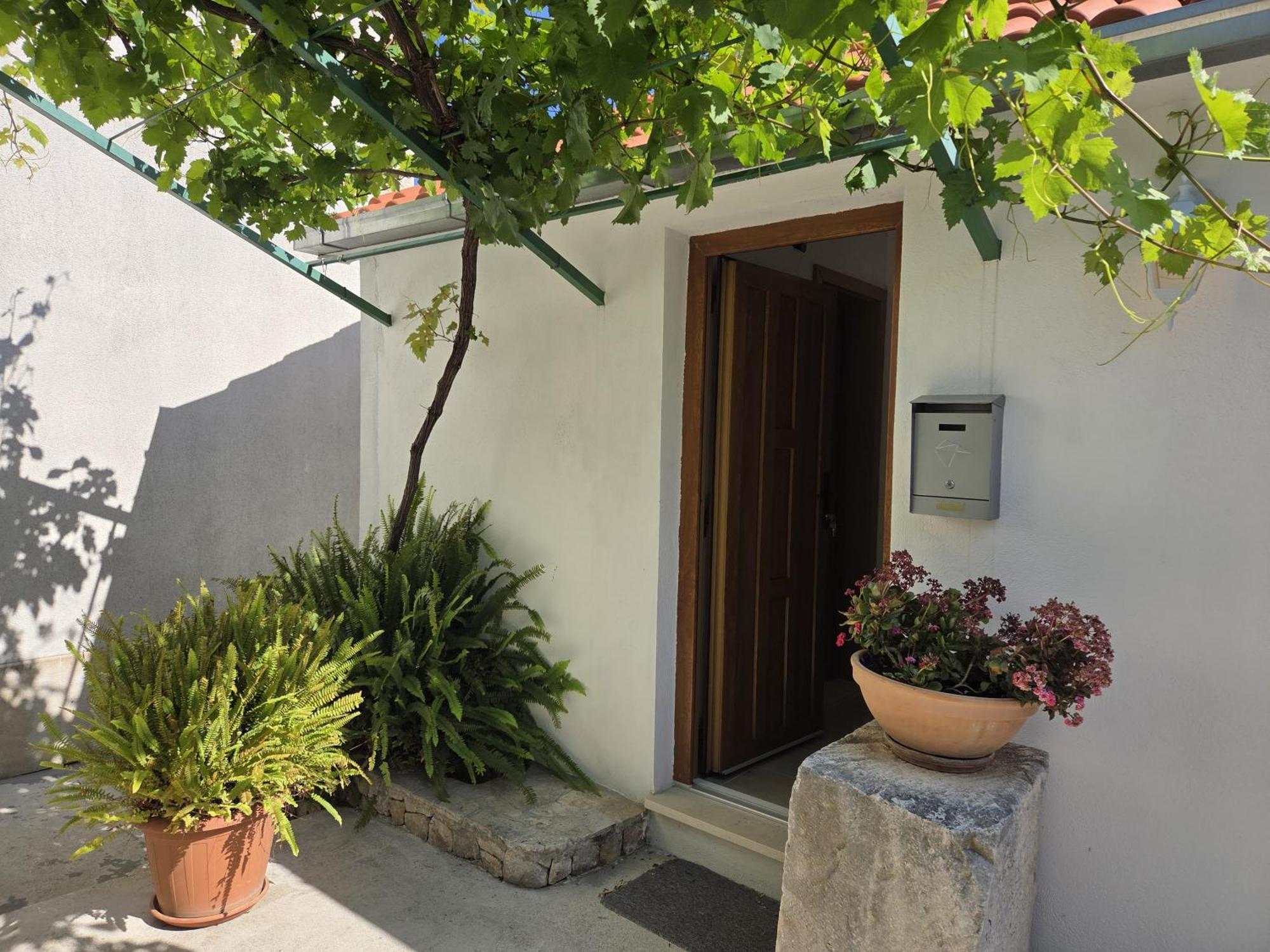 Apartments Jelena Supetar - Four Apartments - A Small House With A Private Yard - Two-Room Apartment With A Sea View - Studio Apartment - Two-Room Apartment With Garden View- Free Parking Exteriör bild